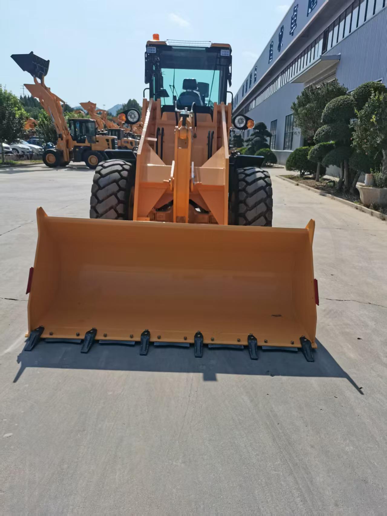 TANAN 920T 1 Ton Low-Canopy Compact Loader — factory photo